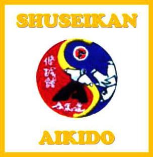 clases ninjutsu ninos montevideo Shojin Dojo - Aikido, Budismo y Reiki