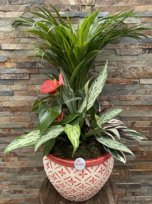 Conjunto de Plantas Nº3