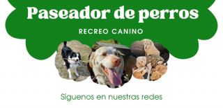 Paseador de perros M