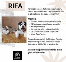 lugares de adopcion de perros en montevideo ECQUS ONG, asistencia y rehabilitación de animales. NO SOMOS REFUGIO