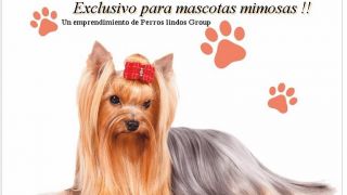 alojamientos para perros en montevideo FUN DAYS & NIGHTS HOTEL