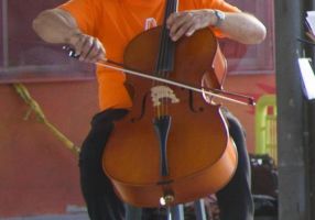 clases arpa montevideo ARCOS UNIDOS Academia de Música